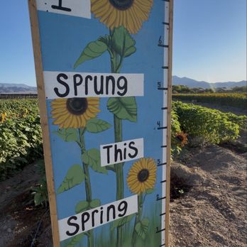 Gilcrease Orchard - Fruits & Veggies Near Me - Las Vegas, Nevada Gilcrease Orchard - Fruits & Veggies Near Me - Las Vegas, Nevada