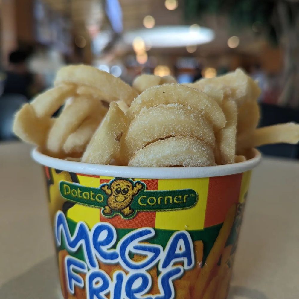 a cup of potato chips