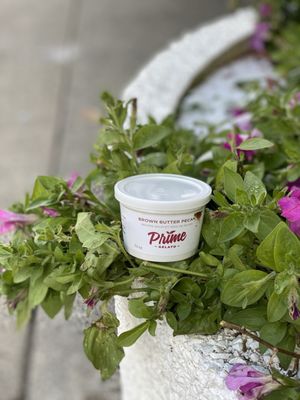 Prime Gelato by null