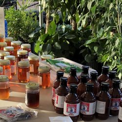 Discount Plants of Florida - Honey and bbq sauce.