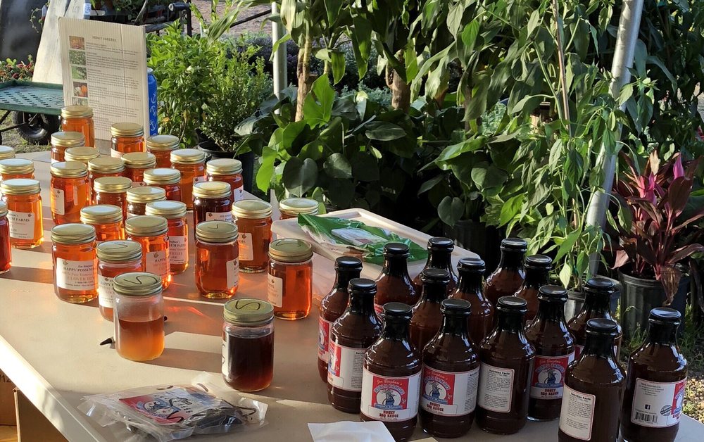 DISCOUNT PLANTS OF FLORIDA TEMP. CLOSED 24 Photos & 11 Reviews