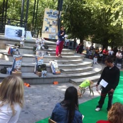 Parque  de el Egido - Feria de adopción de Pinto.