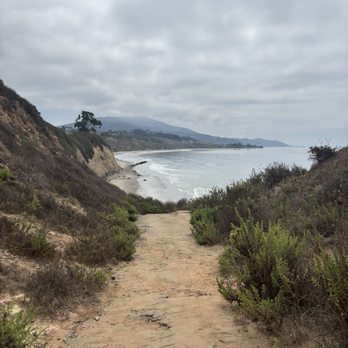 Carpinteria Bluffs Nature Preserve - One of many cut paths to beach access - Hiking Near Me - Carpinteria, California