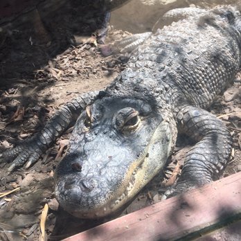 Wildlife Learning Center - Zoos Near Me - Sylmar, California