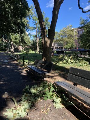 Herbert Von King Park by null