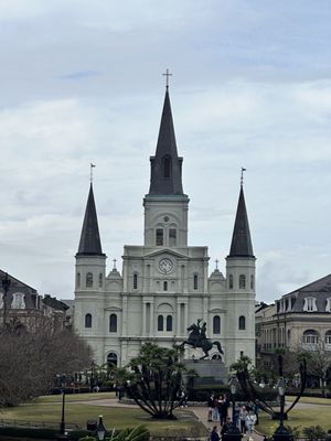 Nola Tour Guy by null