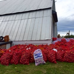 Cayford Orchards - I'll take all these apples, thanks.