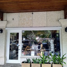 Exterior photo of Celestial Treasures - Coconut Grove, Florida Exterior photo of Celestial Treasures - Coconut Grove, Florida