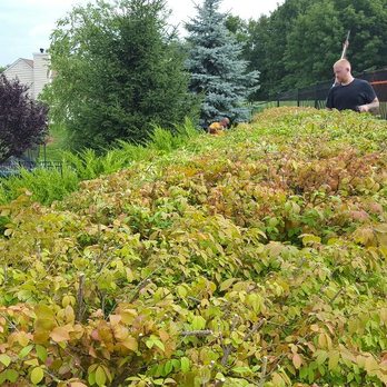 H N Tree Care - Tree Services Near Me - Landing, New Jersey H N Tree Care - Tree Services Near Me - Landing, New Jersey