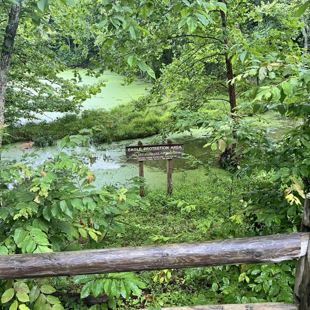 Radnor Lake State Park - Parks Near Me - Nashville, Tennessee Radnor Lake State Park - Parks Near Me - Nashville, Tennessee