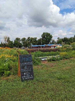 Native Hill Farm by null