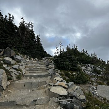 Mount Rainier National Park - Parks Near Me - Ashford, Washington Mount Rainier National Park - Parks Near Me - Ashford, Washington