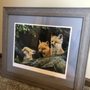 Photo of Irvington Picture Frame Company
