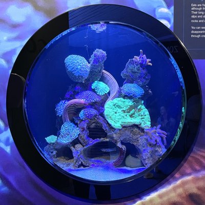 AQWA The Aquarium Of Western Australia by null