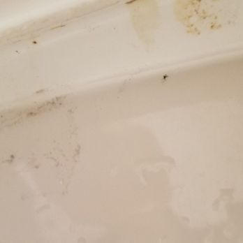 Keen Kleen - Toilet after their deep cleaning - Office Cleaning Near Me Keen Kleen - Toilet after their deep cleaning - Office Cleaning Near Me