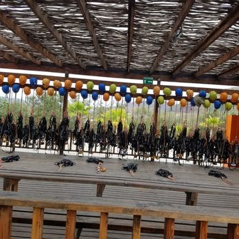 Las Cañadas Campamento - The equipment - Amusement Parks Near Me - Ensenada, BCN