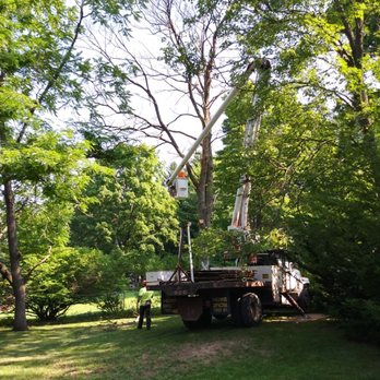 CPE Tree Service - Tree Services Near Me - Clifton Park, New York CPE Tree Service - Tree Services Near Me - Clifton Park, New York