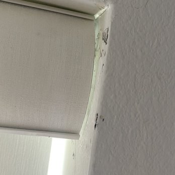 LA Custom Blinds - Damaged window and the white clip is missing - Shades & Blinds Near Me - Los Angeles, California LA Custom Blinds - Damaged window and the white clip is missing - Shades & Blinds Near Me - Los Angeles, California