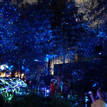 Villains Grove - Forest Glow! - Amusement Parks Near Me - Anaheim, California Villains Grove - Forest Glow! - Amusement Parks Near Me - Anaheim, California