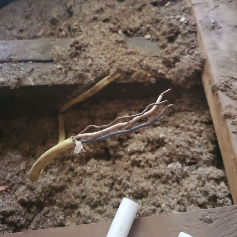 Acadian Remodeling - Exposed wires I found in attic. - General Contractors Near Me - Metairie, Louisiana Acadian Remodeling - Exposed wires I found in attic. - General Contractors Near Me - Metairie, Louisiana