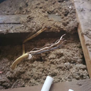 Acadian Remodeling - Exposed wires I found in attic. - General Contractors Near Me - Metairie, Louisiana