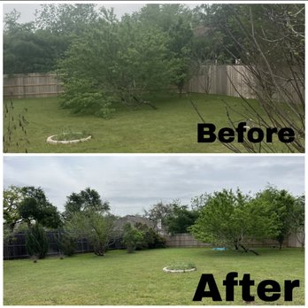 Lupe's Tree Service - Tree Services Near Me Lupe's Tree Service - Tree Services Near Me