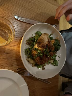 Oak at Fourteenth by null