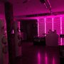 Photo of Purple Design