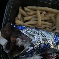Yeero Village - Gyro with Fries