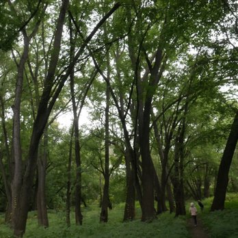 Rocksteady Life - Outdoor sessions in local parks - Doulas Near Me - Saint Paul, Minnesota Rocksteady Life - Outdoor sessions in local parks - Doulas Near Me - Saint Paul, Minnesota