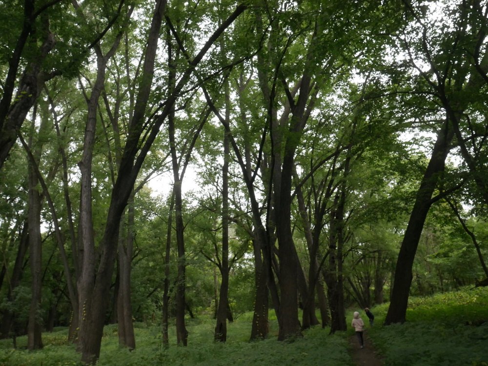 Rocksteady Life - grief counselor in Saint Paul, MN