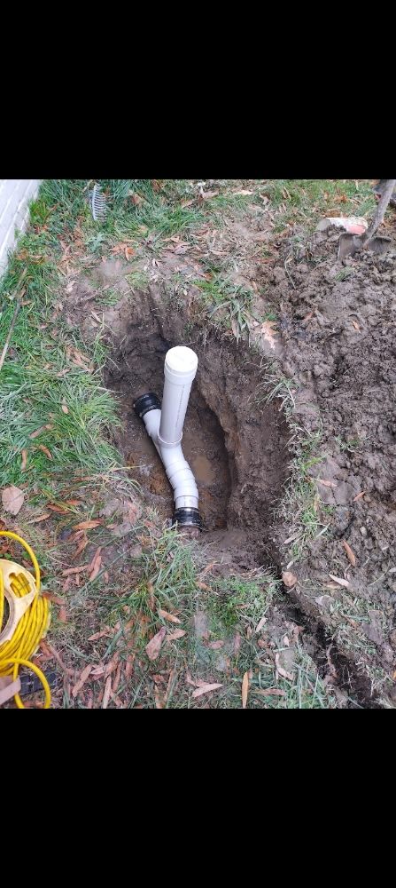 Slide of Whistling Ladders