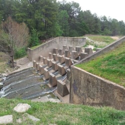 Peckinpaugh Preserve - Ditch
