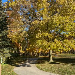 Doctors Park