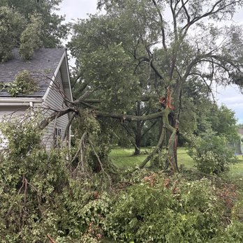 Liberty Tree Service - "Before" #1 - Tree Services Near Me - New Lenox, Illinois