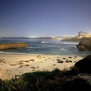 Children's Pool - Beaches Near Me - La Jolla, California Children's Pool - Beaches Near Me - La Jolla, California