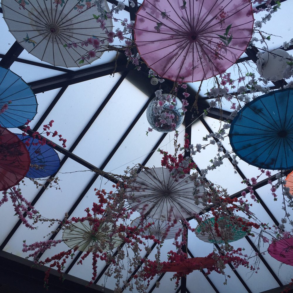 Crane Bar Restaurant - Beautiful japanese (?) umbrellas (?) ... Ok I'm out of my japanese league here ^^ - Sushi Bars Near Me - Potts Point, NSW