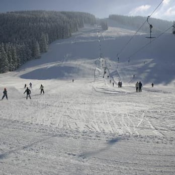 Alpsee Coaster - Amusement Parks Near Me - Immenstadt, BY