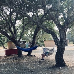 Setting up our hammocks outside our cabin