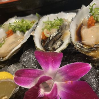 Kappo Irifune - Sushi Bars Near Me - Torrance, California Kappo Irifune - Sushi Bars Near Me - Torrance, California