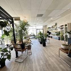 Namoo Plant Shop - More options