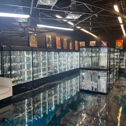 Smoker Central - The store.