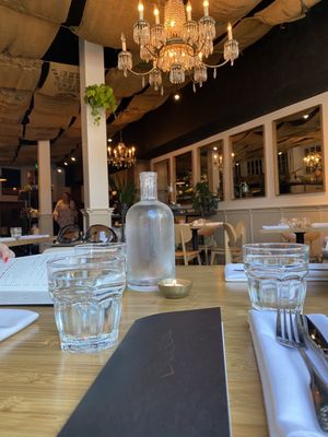 The Black Cypress by null