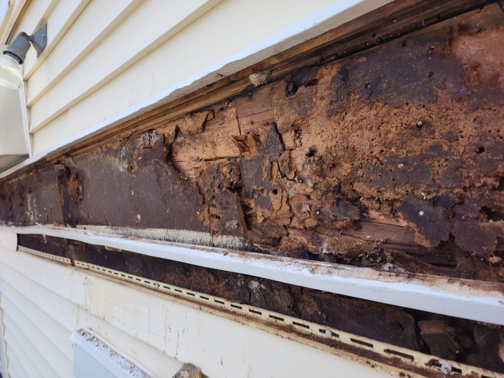 Slide of Salazar Construction