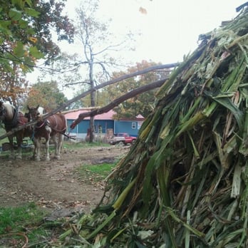 Muddy Pond Sorghum Mill - Food Near Me - Monterey, Tennessee