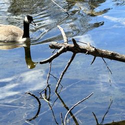 Johnson Nature Center