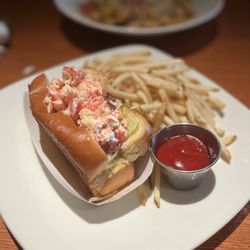 Coastal Grille - The Maine Lobster Roll