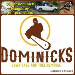 Dominicks Lawn Care & Tree Removal