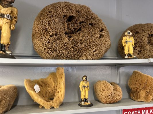 Spongeorama Sponge Factory by null
