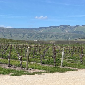 Biddle Ranch Vineyard - View - Wineries Near Me - San Luis Obispo, California Biddle Ranch Vineyard - View - Wineries Near Me - San Luis Obispo, California